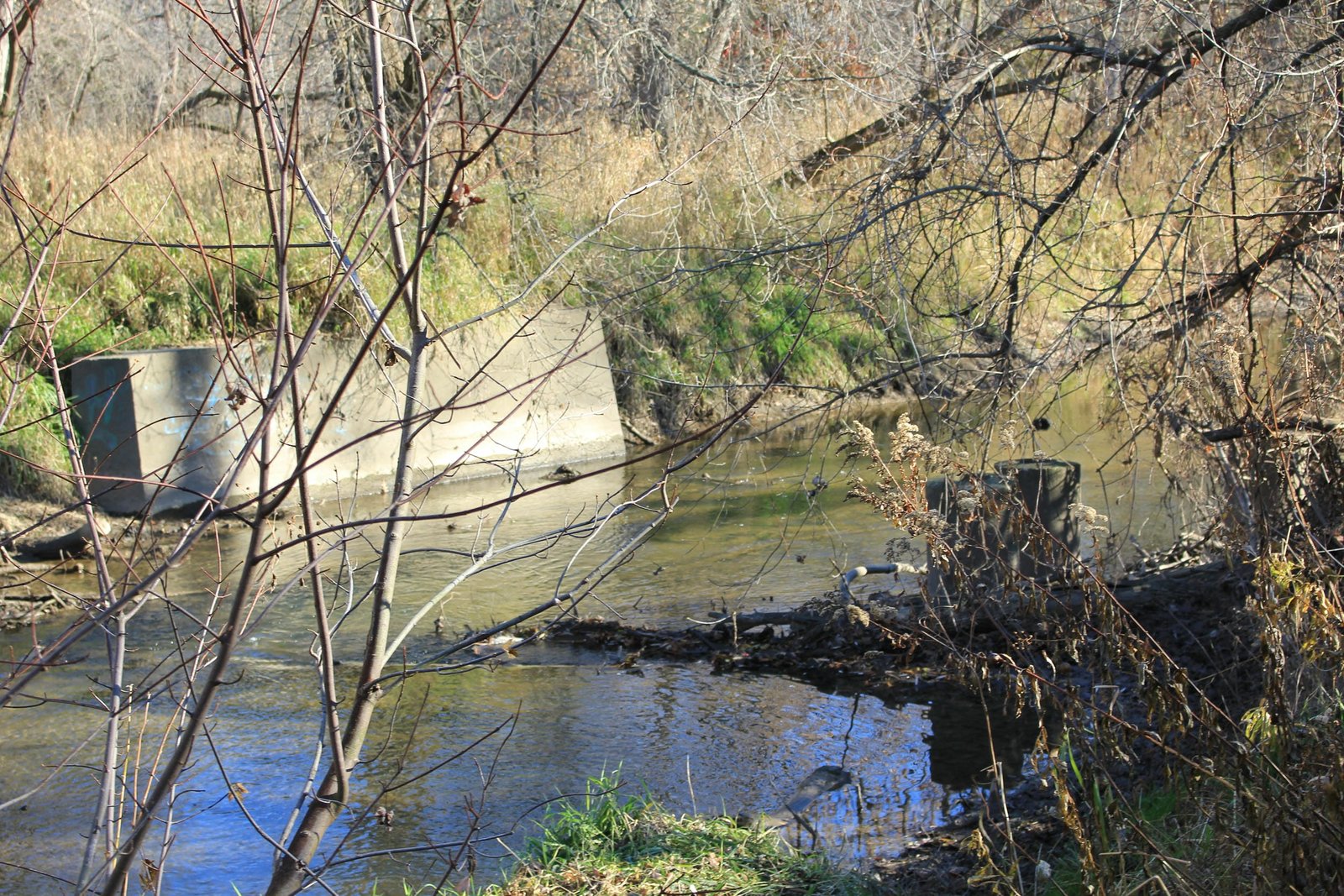 Remains of The Milwaukee Electric Railway & Light Company bridge downstream